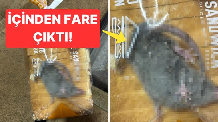 Yeni Bir Fare Skandalı Daha: İnternetten Sipariş Ettiği Ekmek Poşetinin İçinden Canlı Fare Çıktı!