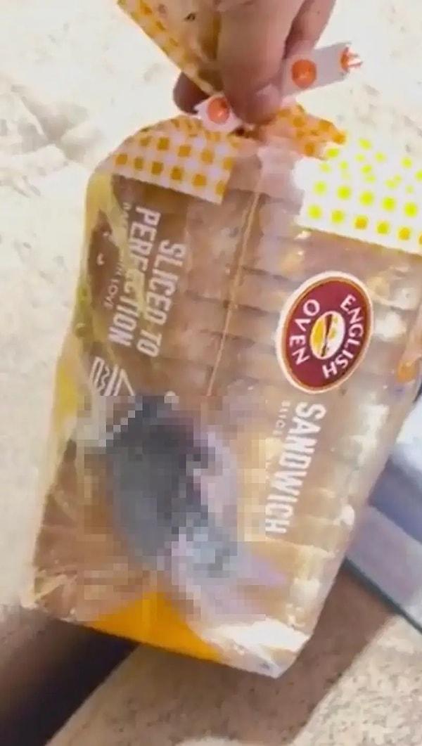 Benzer bir durum geçtiğimiz günlerde Hindistan’da yaşandı. Nitin Arora adlı bir Twitter kullanıcısı aldığı ekmeğin içinden canlı bir fare çıktığını iddia etti.