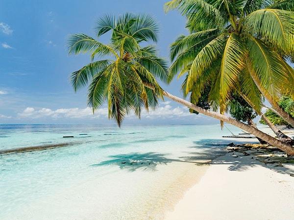 7. Maldivler