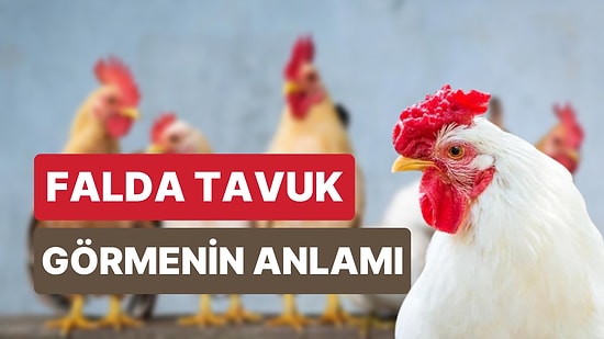 Falda Tavuk Görmek Ne Anlama Gelir? Hayırlı Bir Eş, Bol Kazanç!