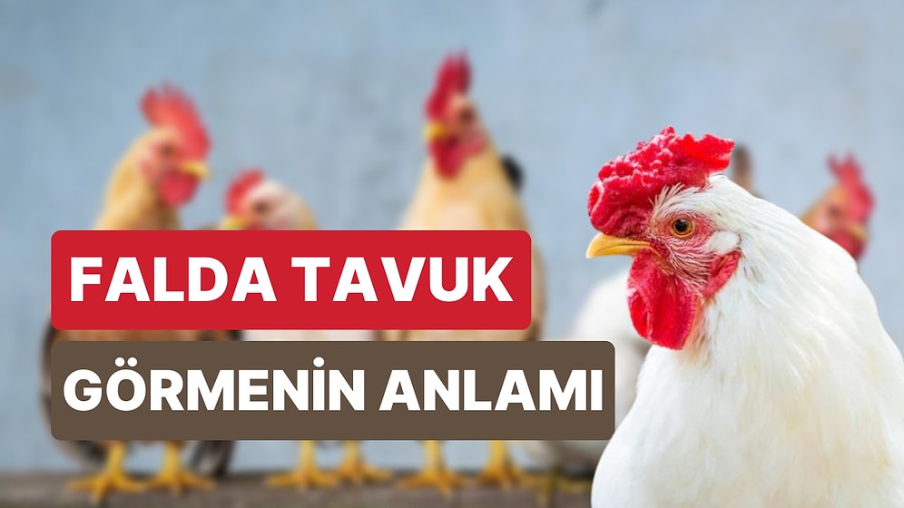 Falda Tavuk Görmek Ne Anlama Gelir? Hayırlı Bir Eş, Bol Kazanç!