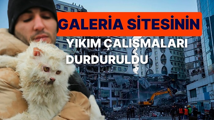 Tepkiler Üzerine 14 Hayvanın Kurtarılması İçin Diyarbakır'daki Galeria Sitesinde Yıkım Çalışması Durduruldu!