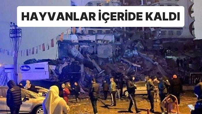 Diyarbakır’da Hasarlı Binada Yıkım: İçeride Evcil Hayvanlar Var