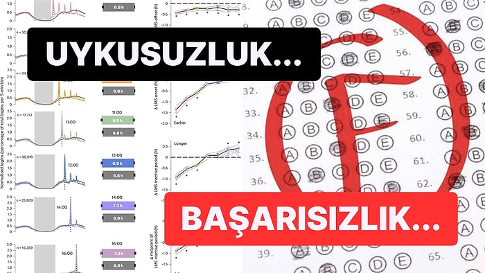 Üniversitede Sabah 8 Derslerine Uyanmak Zor Geliyorsa Bu Araştırmayı Hocalarınıza Göstermelisiniz!