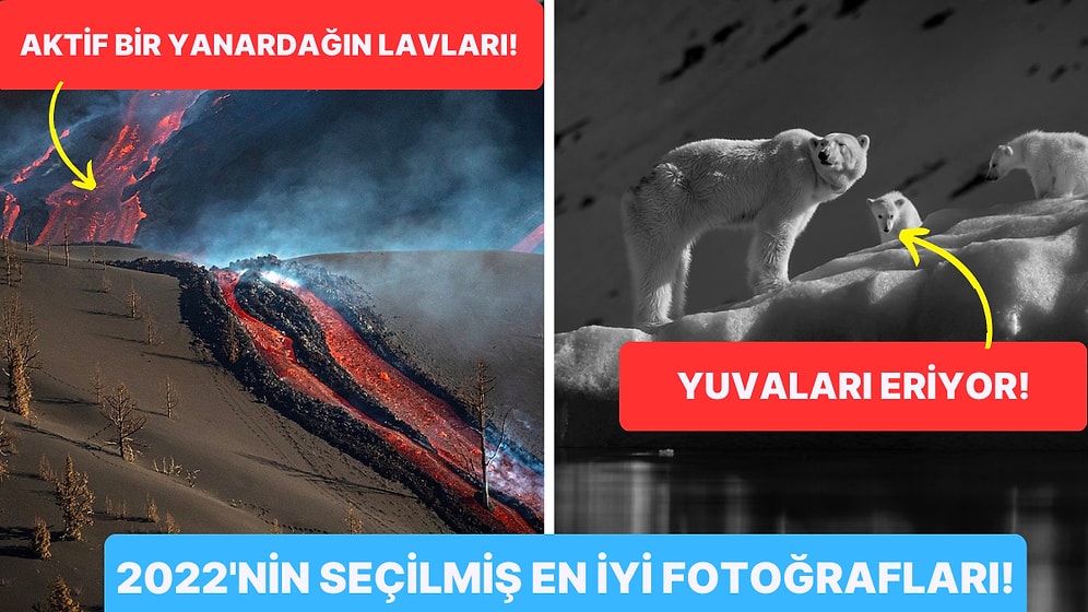 2022 Yılının En İyi Seyahat Fotoğrafçısı Yarışmasının Kazananları Açıklandı!