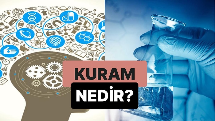 Herhangi Bir Olayı Açıklamak İçin Kullanılan Düşünce Sistemi: Kuram Nedir?