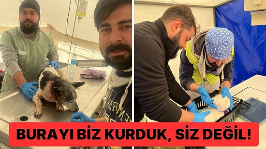 Gönüllü Veterinerlerin Kurduğu Hayvan Tedavi Merkezinin Tarım Bakanlığı Tarafından Sahiplenilmesi Tepki Çekti