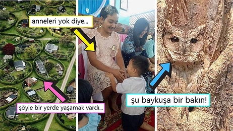 Gördüğünüz Anda İçinizin Yağlarını Eritip Sizi Pamuk Gibi Yapacak Birbirinden Etkileyici 15 Görsel