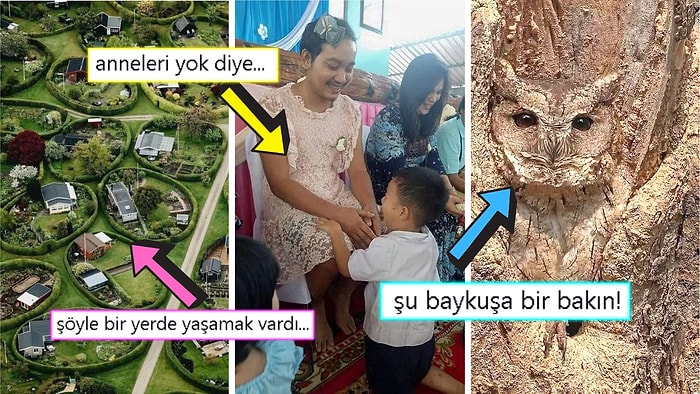 Gördüğünüz Anda İçinizin Yağlarını Eritip Sizi Pamuk Gibi Yapacak Birbirinden Etkileyici 15 Görsel