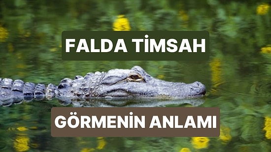 Falda Timsah Görmek Ne Demektir? Sinsi Düşmanlar Etrafınızı Sarmış!