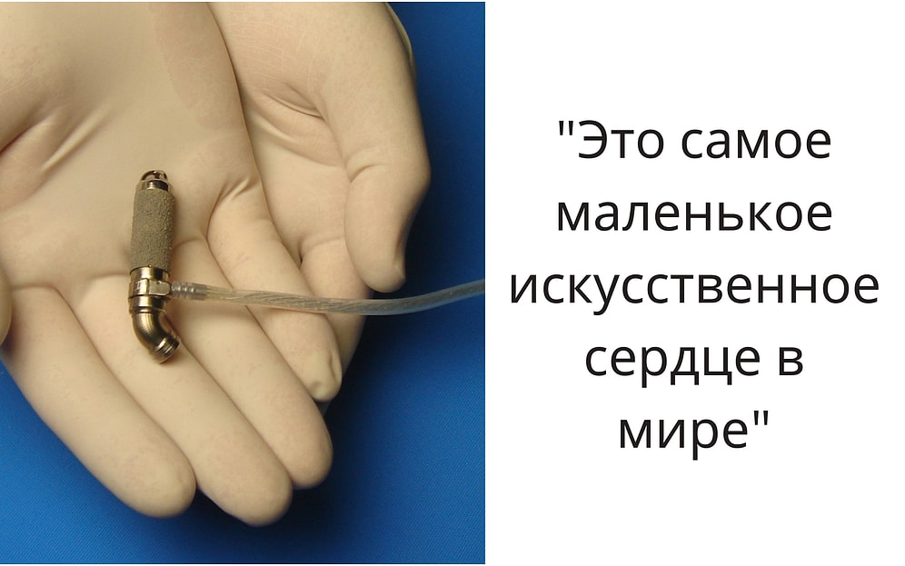 16 интересных фактов о мире, которыми поделилась страница в Инстаграм “Факт Эйнштейна”