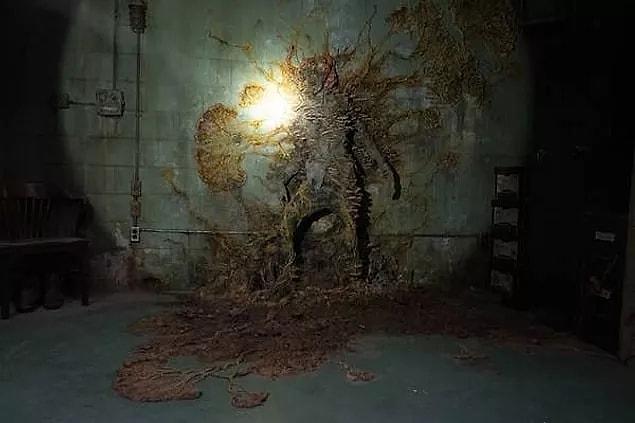 10. An art team was assigned to find the 'artistic' parts of the mushrooms.