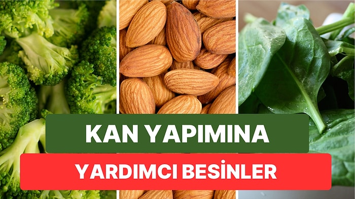 Sağlıklı Beslenmek İsteyenler İçin: Kan Yapımına Yardımcı Birbirinden Lezzetli ve Etkili 15 Besin