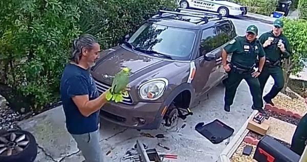 Florida'da yaşanan olayda yardım çığlığı atan bir papağan, sahibinin başına iş açıyordu.