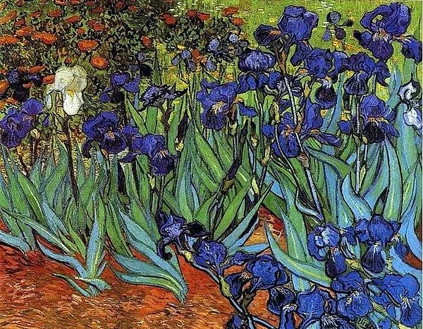 12. 'Irises' - Vincent van Gogh