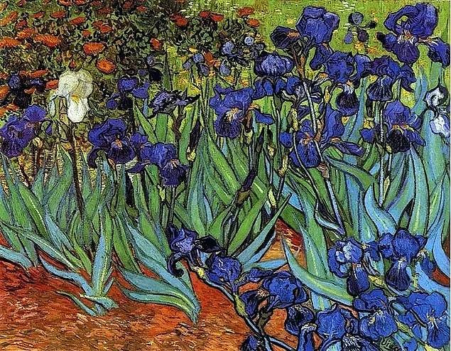 12. 'Irises' - Vincent van Gogh