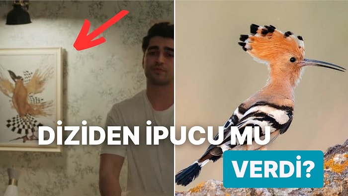 Yalı Çapkını'nda Sadakati Simgeleyen 'Hüdhüd Kuşu' Tablosu Senaryodan İpucu mu Verdi?