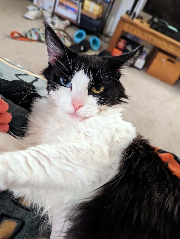 4. Важная персона: