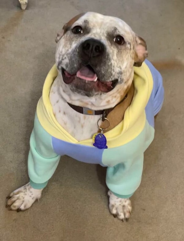 10. Нет, ну что за модник 🔥