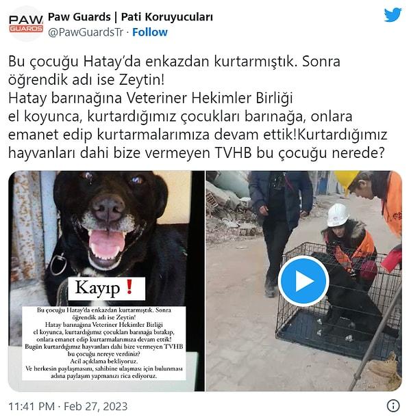 Paw Guards ise kayıp Zeytin hakkında bu açıklamalarda bulunmuş, topu Türk Veteriner Hekimleri Birliği'ne atmıştı.