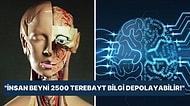 Teknoloji Dünyasında Çığır Açacak Gelişme: İnsan Beyin Hücrelerinden Yapay Zeka Yaratmayı Hedefleniyor!