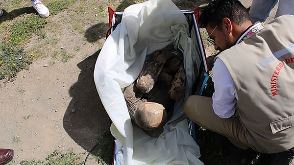 Perulu polislerin CNN'e yaptığı açıklamalara göre ıssız bir parkta oturarak alkollü içecek tüketen üç şüpheli erkeklerin