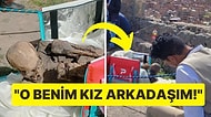 Yemek Siparişi Götürdüğü Çantasından 600 Yıllık Mumya Çıkan Adamın Hayrete Düşüren Açıklamaları