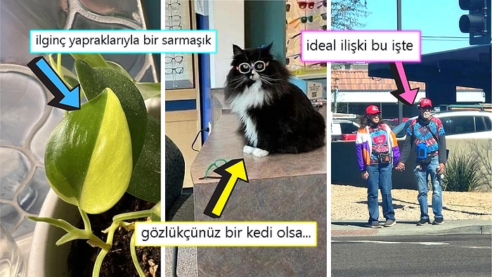 Gördüğünüz Anda İçinizin Yağlarını Eritip Sizi Pamuk Gibi Yapacak Birbirinden Etkileyici 17 Görsel