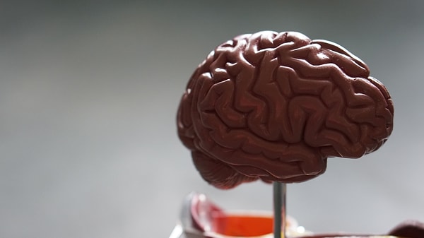 Amerika'nın Florida eyaletinde bir adam, nadir rastlanılan bir durum olan "beyin yiyen amibe" yakalandı.