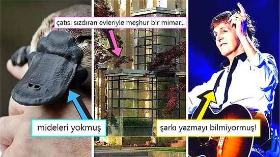 Öğrenince Size Küçük Çaplı Şok Geçirtecek Daha Önce Hiç Duymadığınız 17 İlginç Gerçek