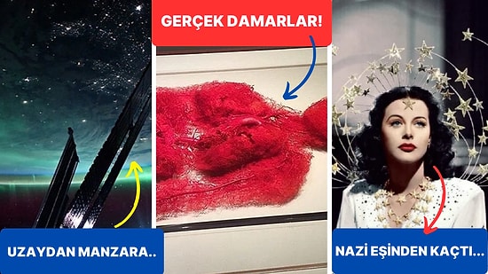 Tarihten Günümüze Hayatı Sorgulamanıza Sebep Olmaya Aday Birbirinden İlginç 17 Görsel