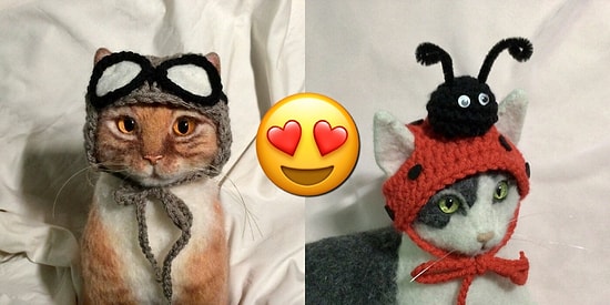 Художница создает смешные шапки для котов: посмотрите, как это мило