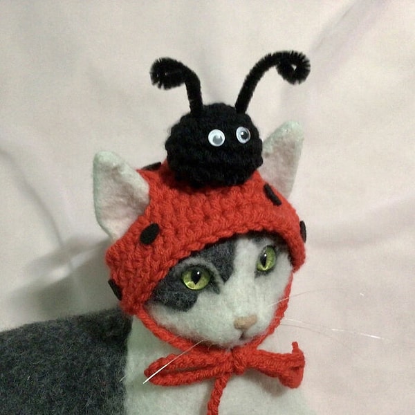 14. Божья коровка