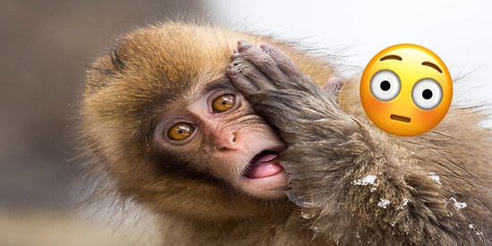 15 криповых фактов, после прочтения которых вам будет сложно уснуть