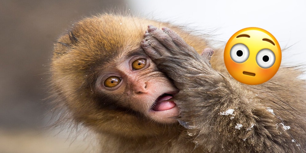 15 криповых фактов, после прочтения которых вам будет сложно уснуть