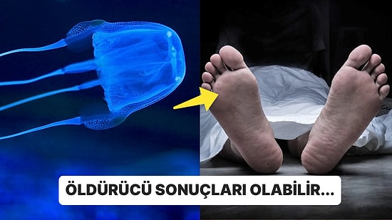 Sevimli Hayvanların İç Yüzünü Biliyor musunuz? Gördüğünüz Yerde Kaçmanız Gereken 15 Tehlikeli Hayvan