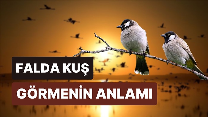 Falda Kuş Görmek Ne Demektir? Kanatlarınızı Huzurlu Bir Geleceğe Doğru Açmışsınız!