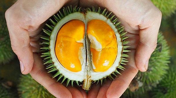 Sensörleri çalıştıran kokunun 'durian' meyvesinden geldiği anlaşıldı.
