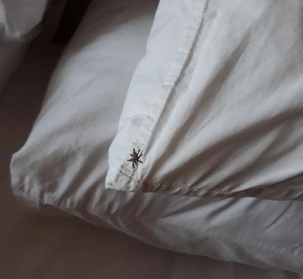 10. "Kaldığım oteldeki yastık kılıfını örümcek şeklinde dikmişler..."
