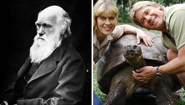9. Kaplumbağa Harriet, Darwin'in evcil hayvanıydı.