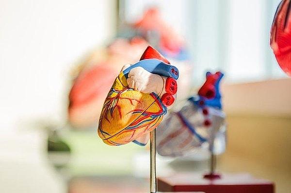 Pek çoğumuz hangi semptomların kalp sağlığımızın kötü olduğuna işaret ettiğini bildiğimizi düşünürüz.