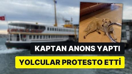 Kadıköy-Beşiktaş Vapurunda ‘Köpek Yolcu’ Krizine Soruşturma