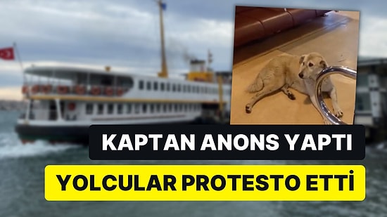 Kadıköy-Beşiktaş Vapurunda ‘Köpek Yolcu’ Krizine Soruşturma