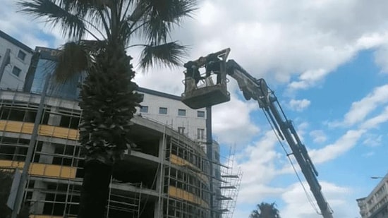 Yoğun Bakımda Unutulup Ölen Hastalar Ailelerine Haber Verilmeden Gömülmüş