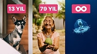 Ölümsüz Olan da Var! Araştırmacılar Canlıların Kaç Yıl Yaşadığını Açıkladı