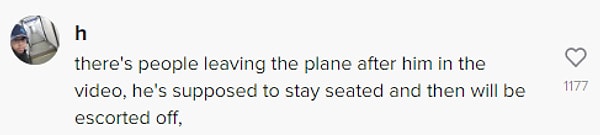 "Videoda ondan sonra uçaktan inen insanlar var. Oturması gerekiyordu, ona sonra eşlik edilecekti."