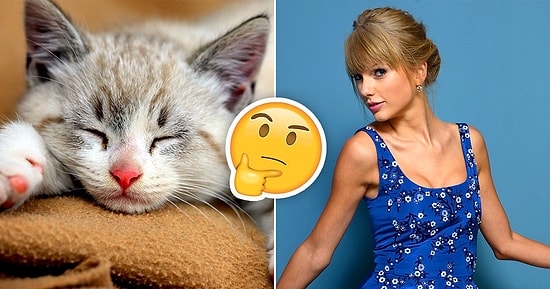 Тест: Сможем ли мы угадать ваш рост с помощью 15 случайных вопросов?