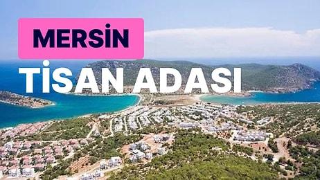 Mersin Tisan Adası Gezi Rehberi: Masmavi Plajı ve Yemyeşil Doğası ile Hayran Kalacağınız Bu Adayı Keşfedin!