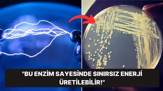 Bilim İnsanları, Havayı Elektriğe Dönüştüren ve Sınırsız Enerji Üretebilecek Bir Enzim Bulduklarını Açıkladı!