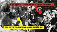 İkinci Dünya Savaşı Hakkında Öğrenince Akıl Tutulması Yaşayacağınız Tuhaf Gerçekler